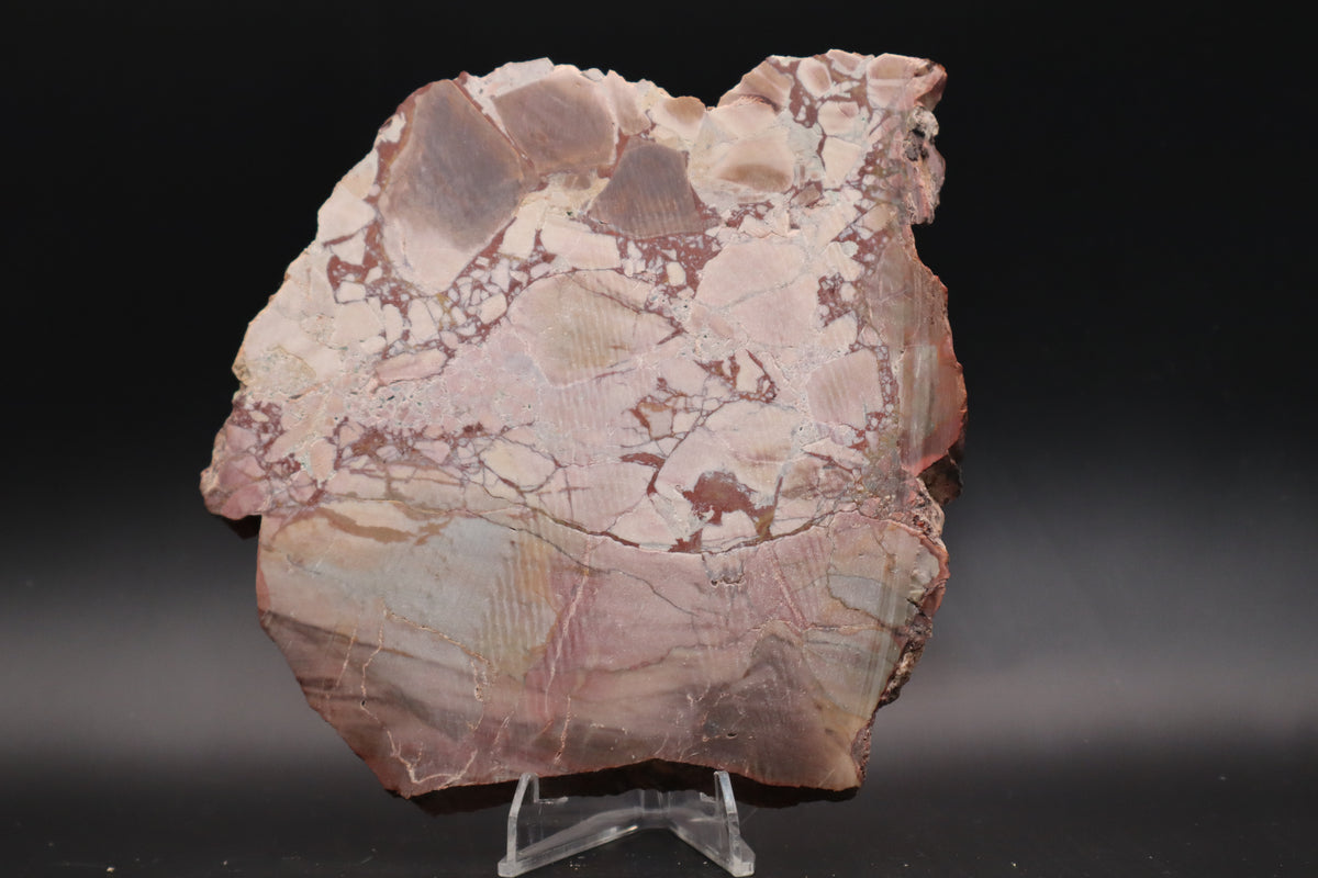 Dead Camel slab (Unpolished)