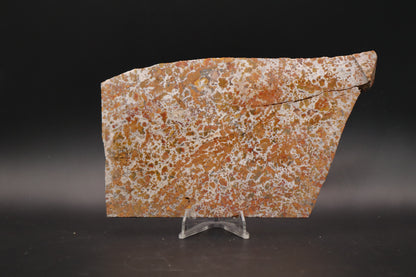Moroccan Atlas Mountain Jasper slab (Unpolished)