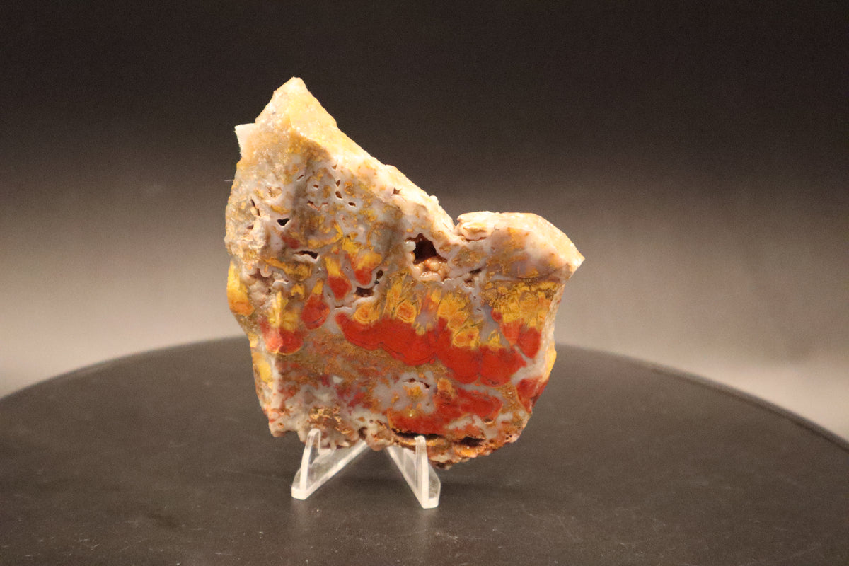 Wingate Pass Plume Agate slab (Unpolished)