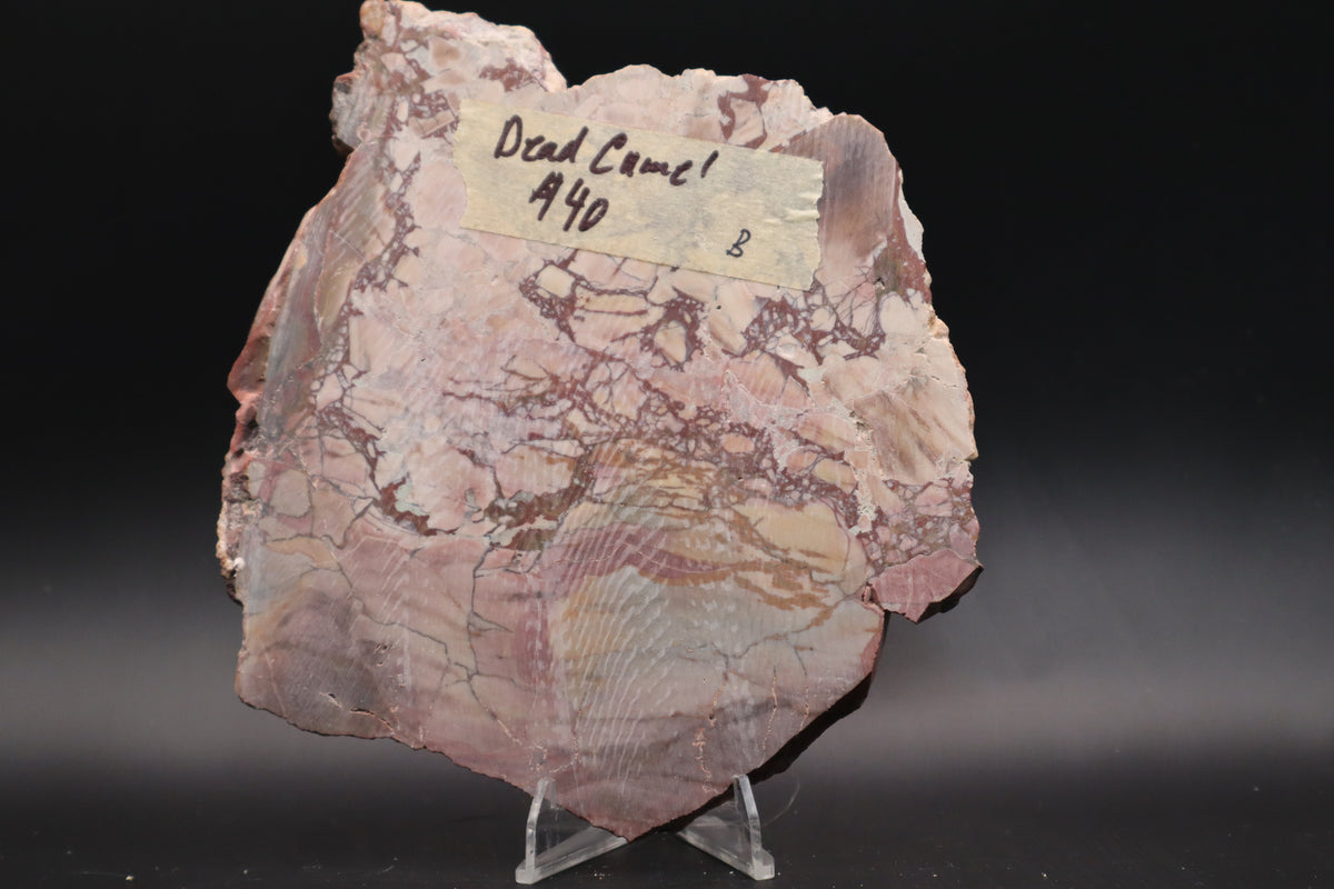 Dead Camel slab (Unpolished)