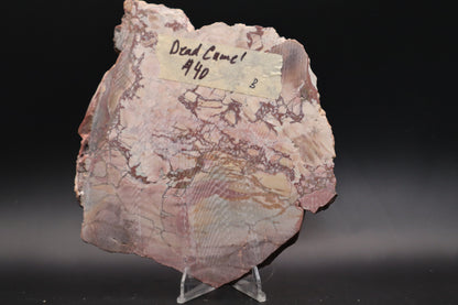 Dead Camel slab (Unpolished)