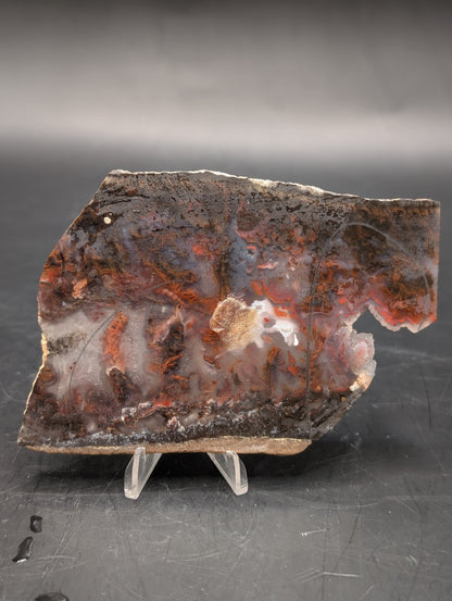 Mexican Flame Agate (Unpolished)