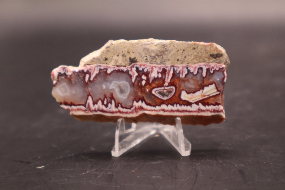 Idaho Wildfire Seam Agate (Polished)