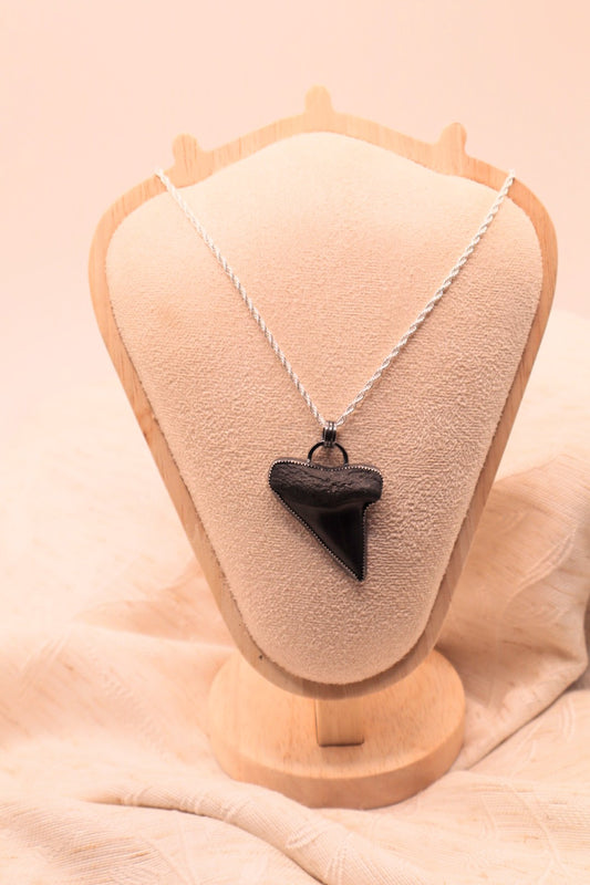 Shark Tooth Pendant