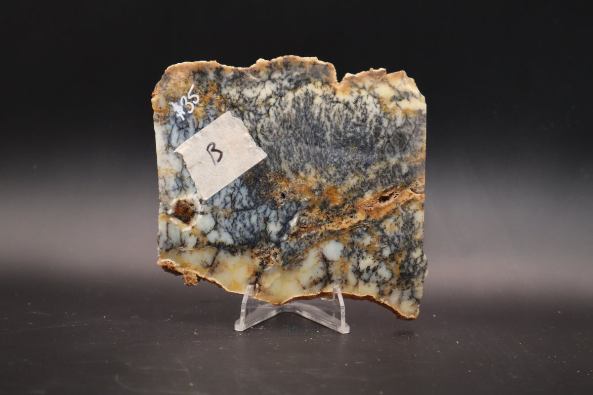 Australian Dendritic Opal slab (Unpolished)