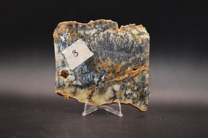 Australian Dendritic Opal slab (Unpolished)