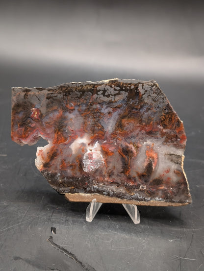 Mexican Flame Agate (Unpolished)
