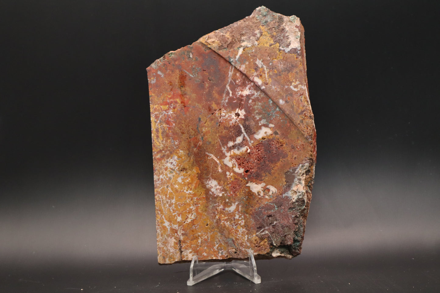 Moroccan Atlas Mountain Jasper slab (Unpolished)