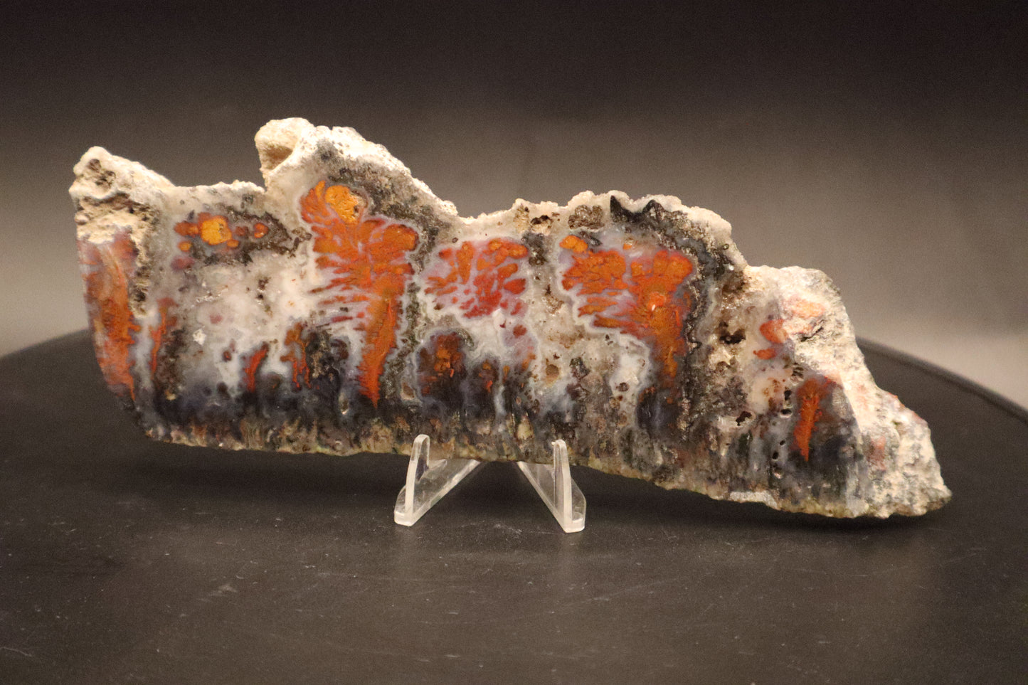 Wingate Pass Plume Agate slab (Unpolished)
