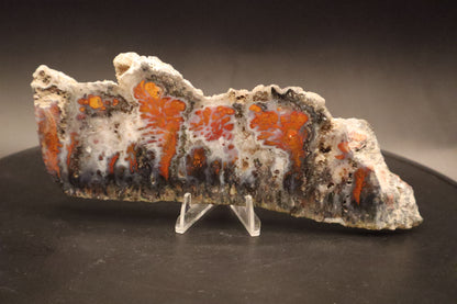 Wingate Pass Plume Agate slab (Unpolished)