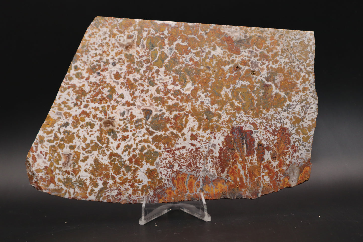 Moroccan Atlas Mountain Jasper slab (Unpolished)