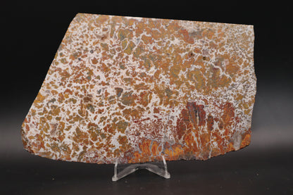 Moroccan Atlas Mountain Jasper slab (Unpolished)