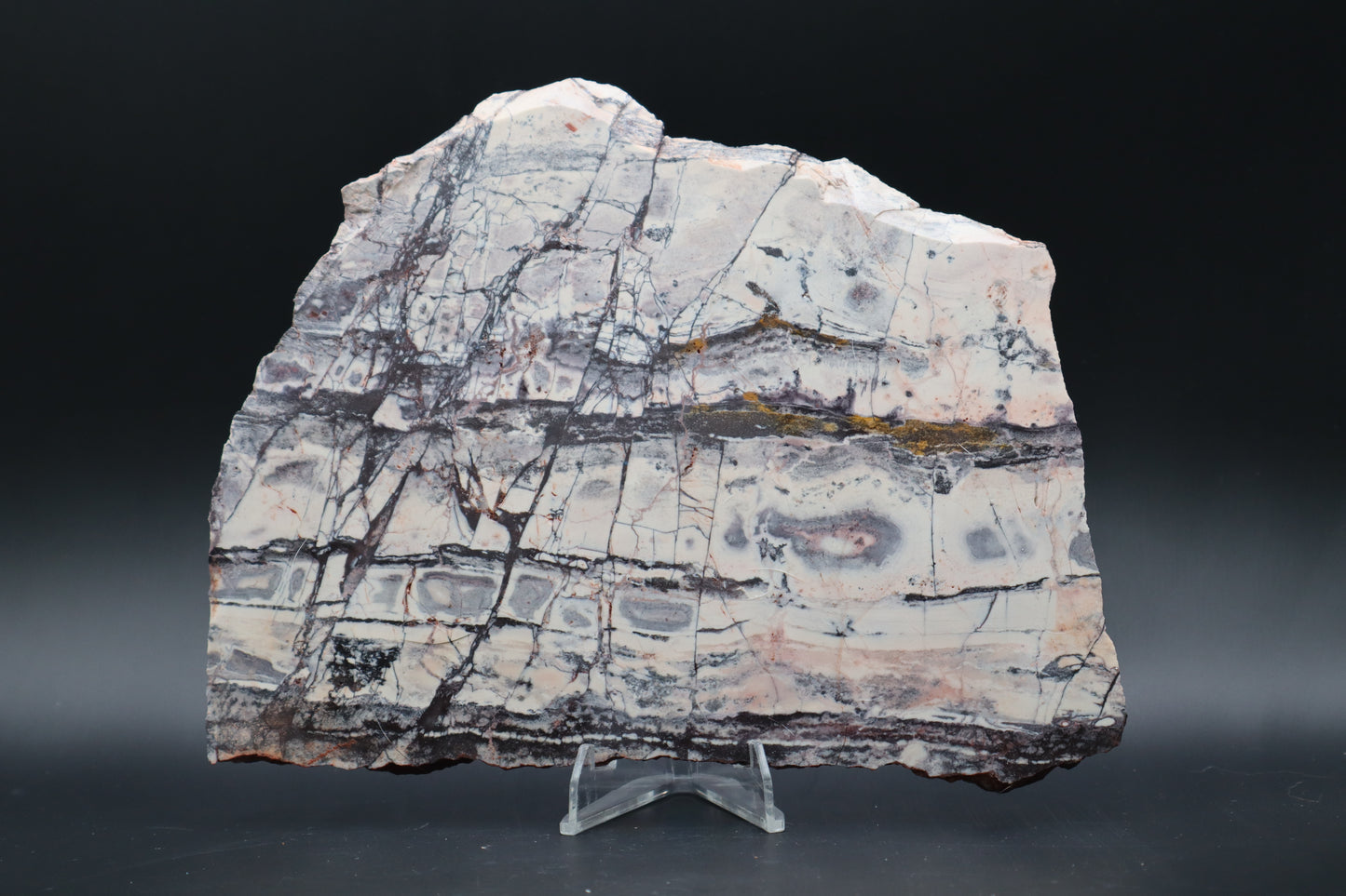 Exotica Sci-Fi Jasper slab (Unpolished)