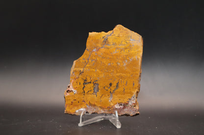 Arizona Yellow Jasper Agate slab (Unpolished)