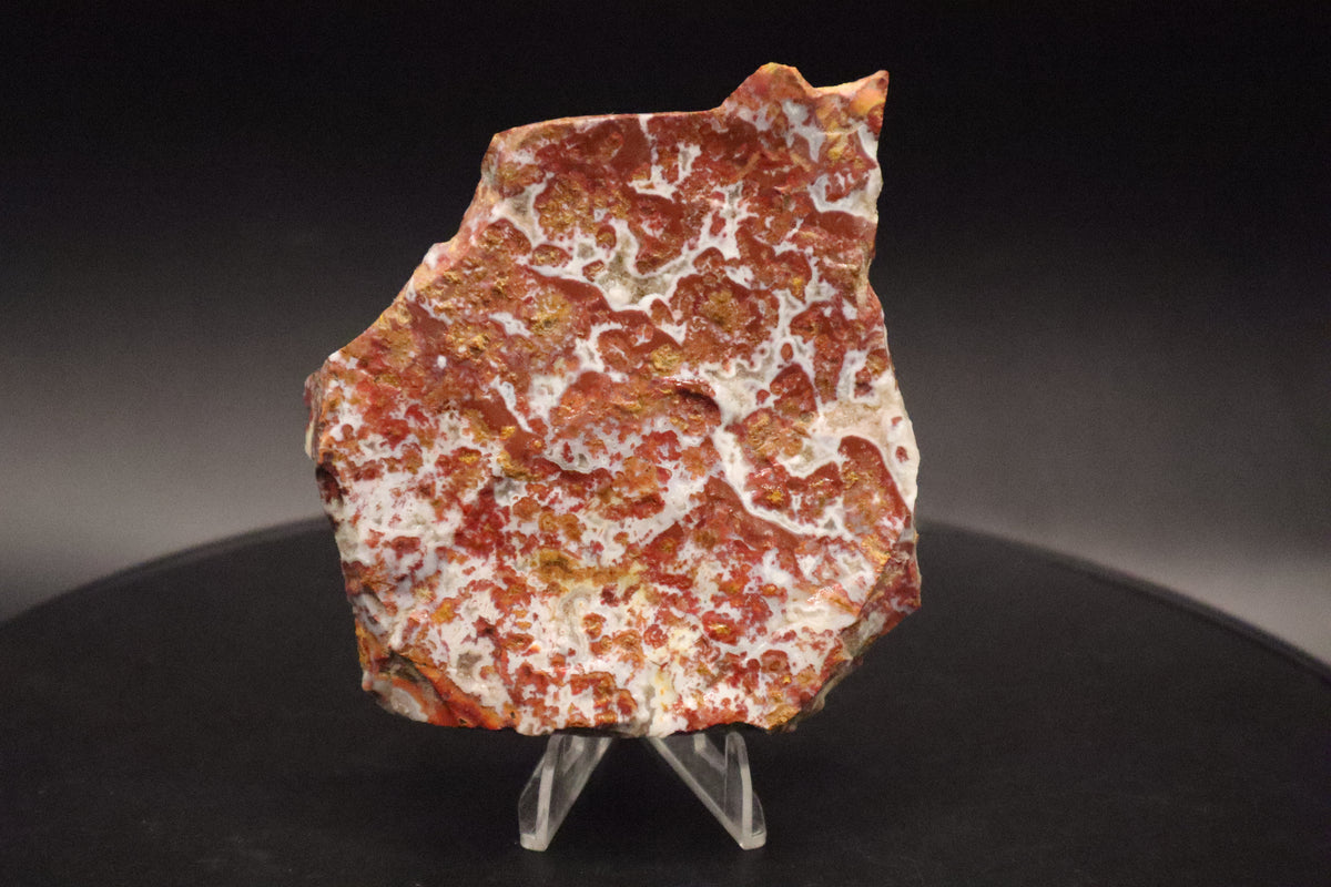 Wingate Pass Plume Agate slab (Unpolished)