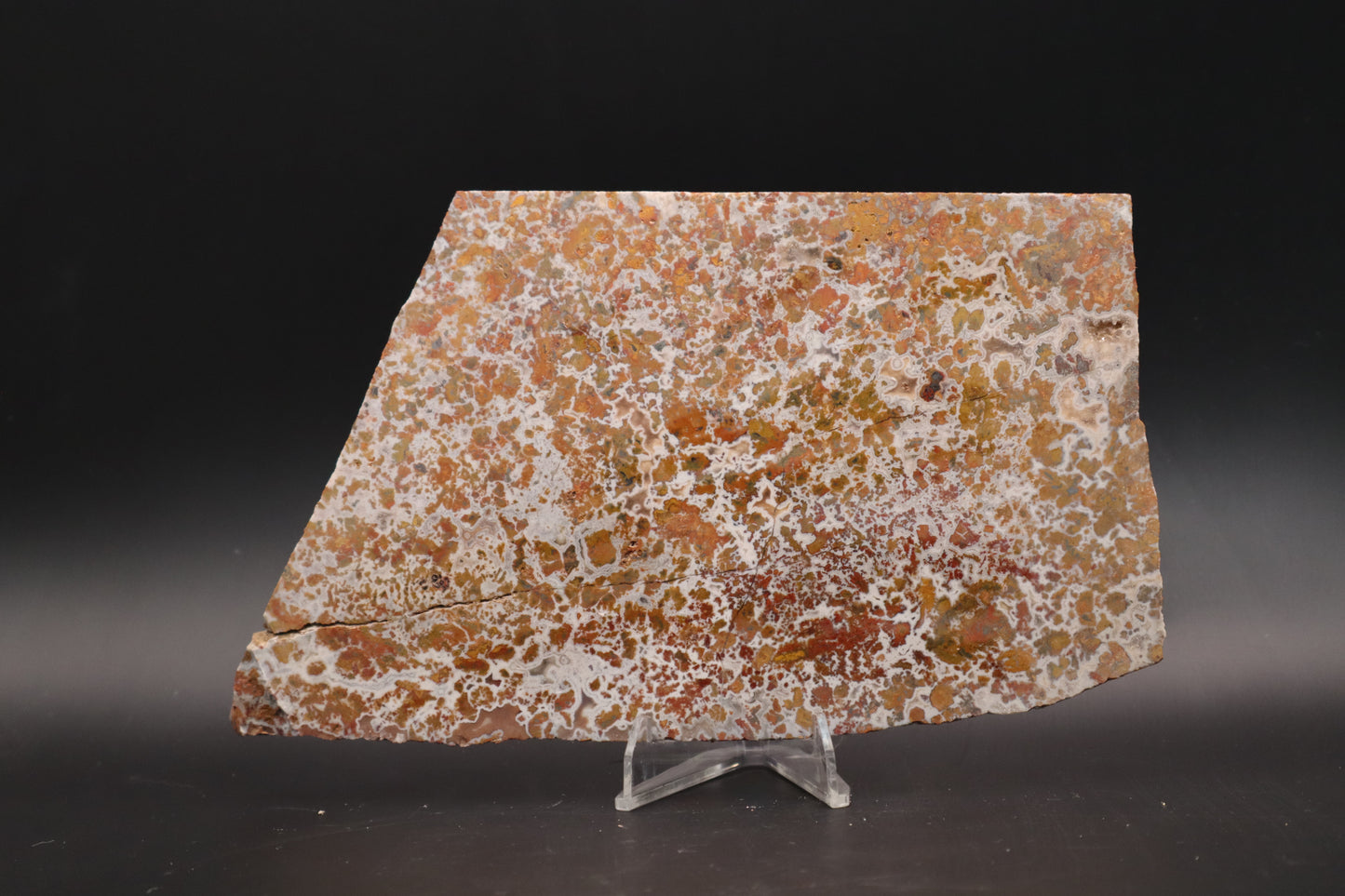 Moroccan Atlas Mountain Jasper slab (Unpolished)