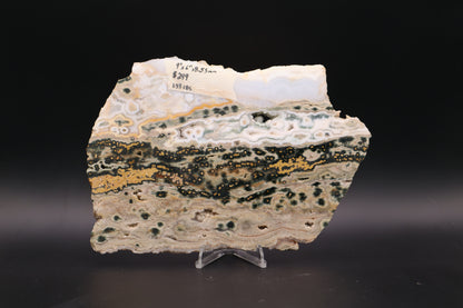 Ocean Jasper Slab (Unpolished)