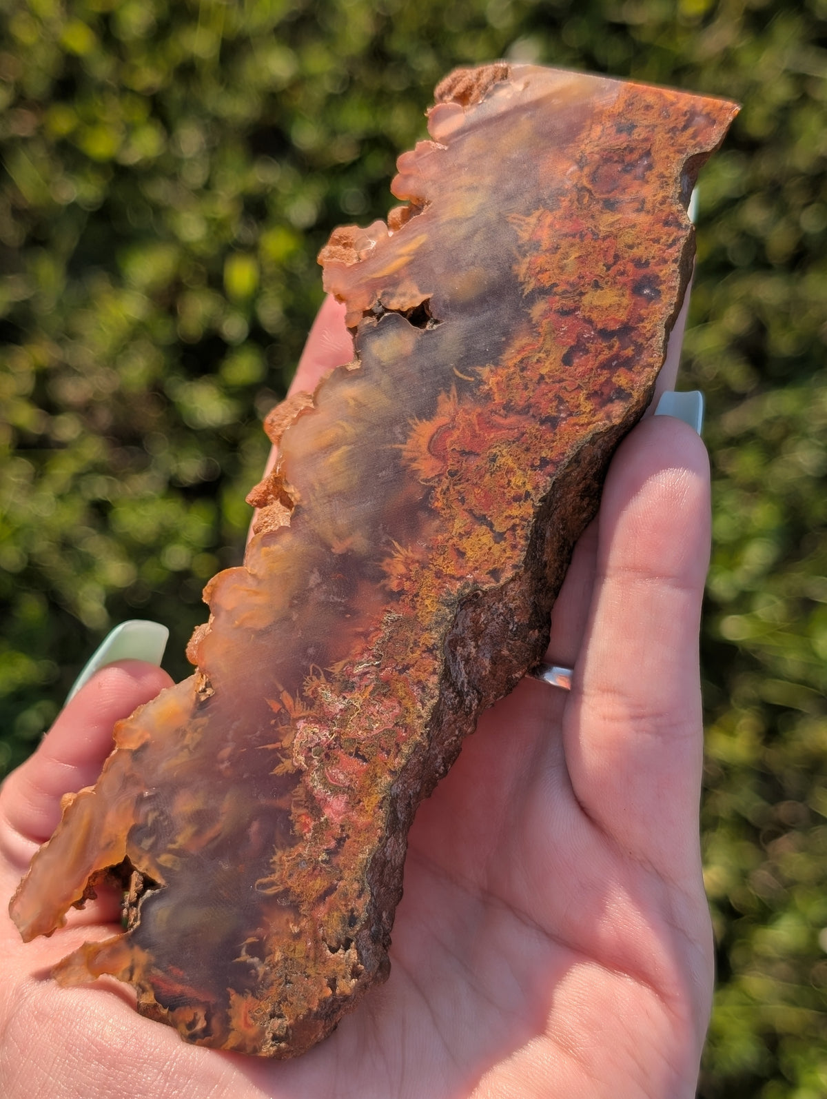 Bird of Paradise Agate