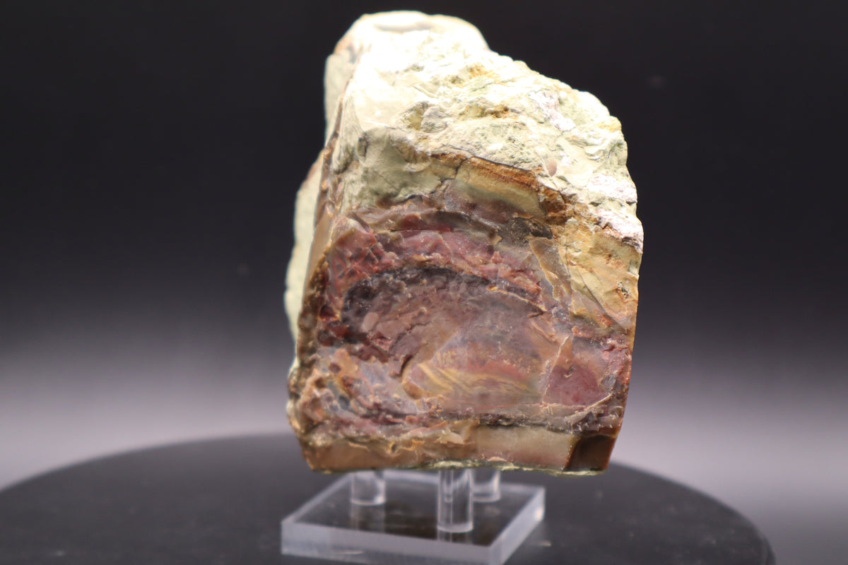 Morrisonite Jasper slab (Collector's Grade)