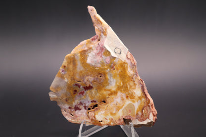 Windy Mountain Snowflake Jasper slab (Unpolished)