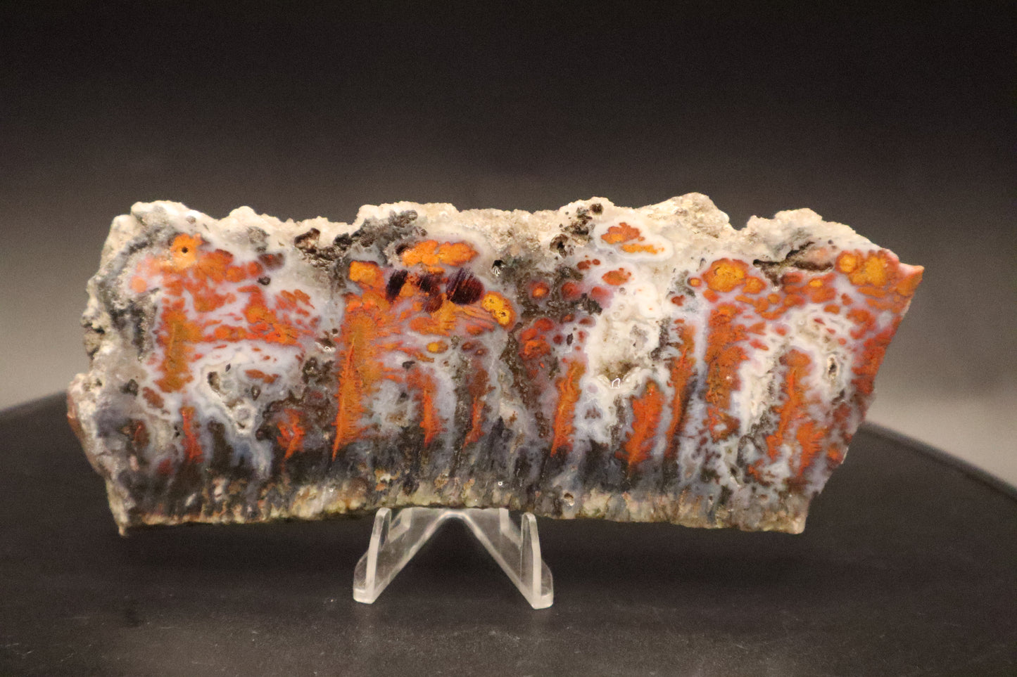 Wingate Pass Plume Agate slab (Unpolished)