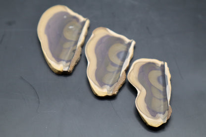 Fryite Jasper set (Collector's Grade)