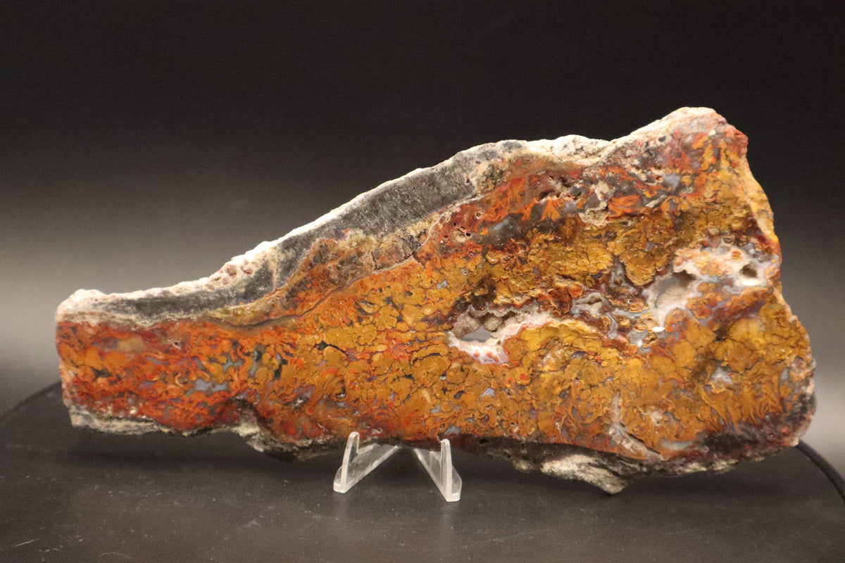 Wingate Pass Plume Agate slab (Unpolished)