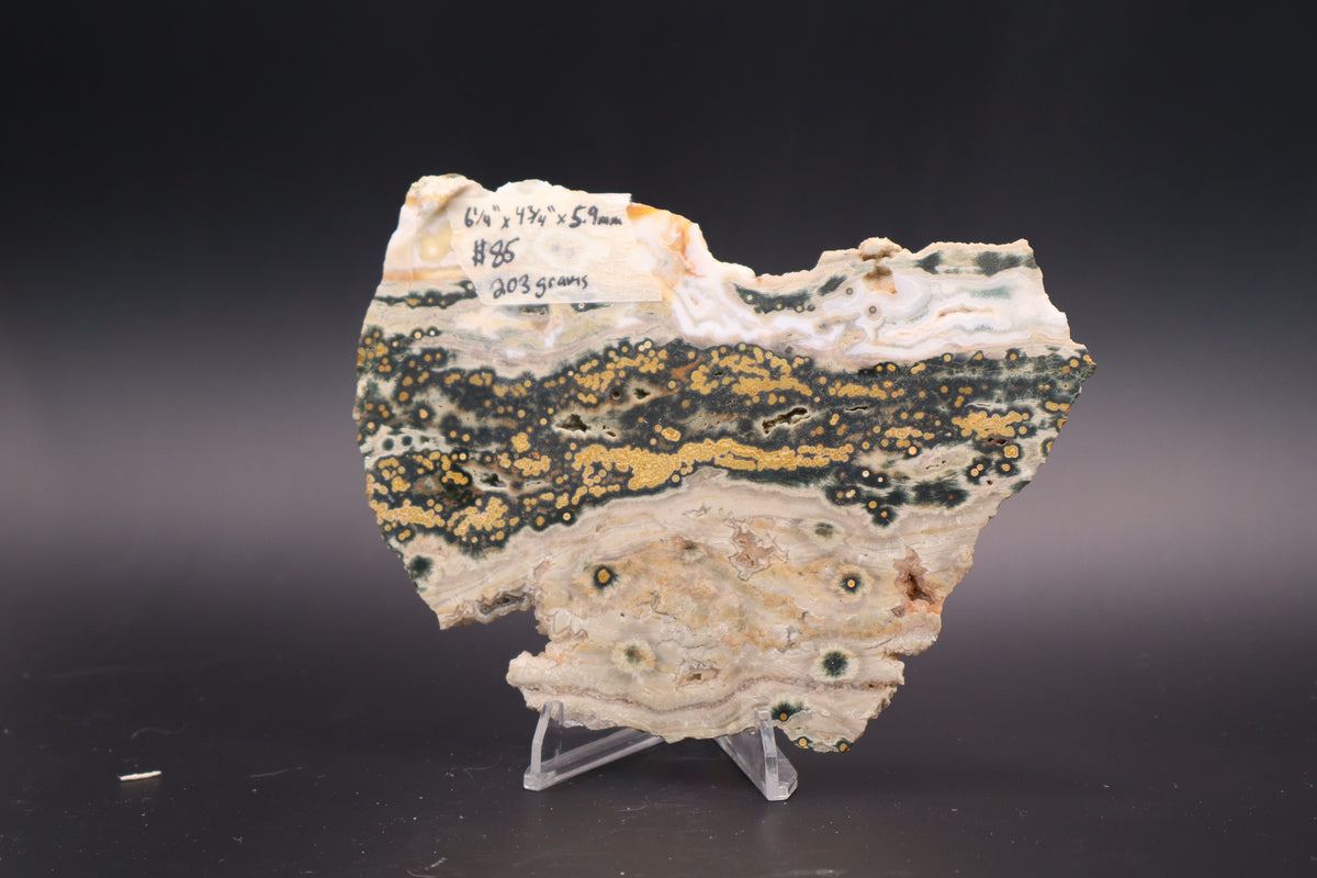 Ocean Jasper Slab (Unpolished)