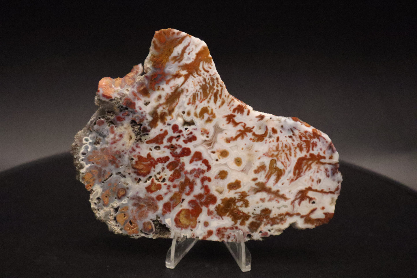 Wingate Pass Plume Agate slab (Unpolished)