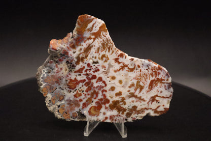 Wingate Pass Plume Agate slab (Unpolished)
