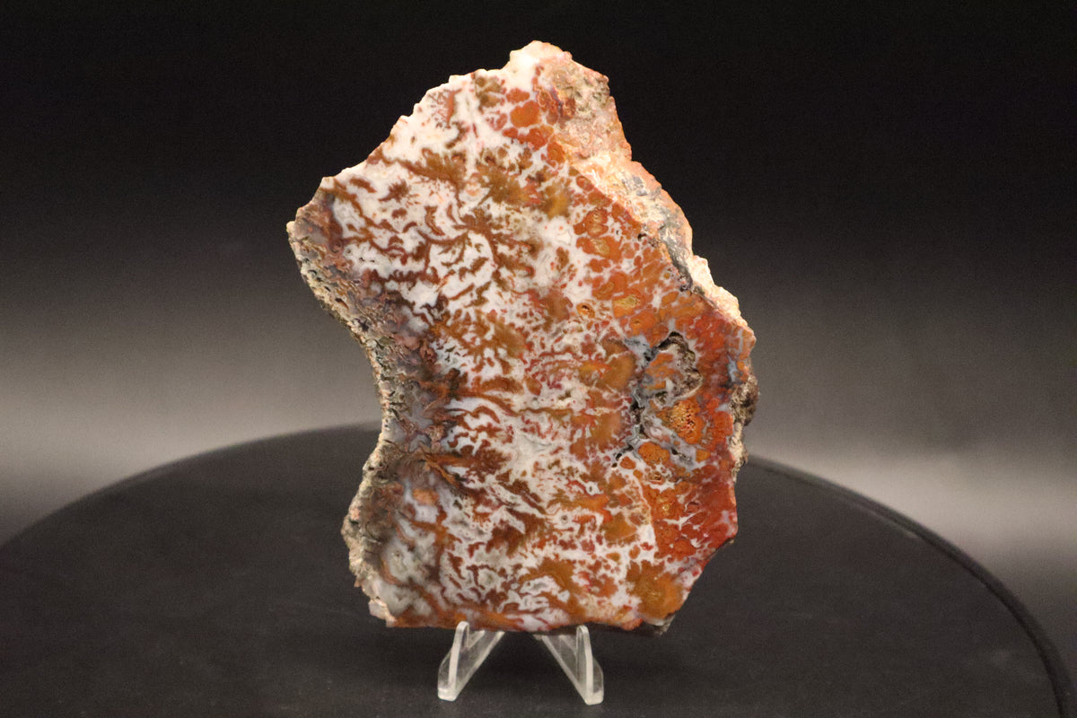Wingate Pass Plume Agate slab (Unpolished)