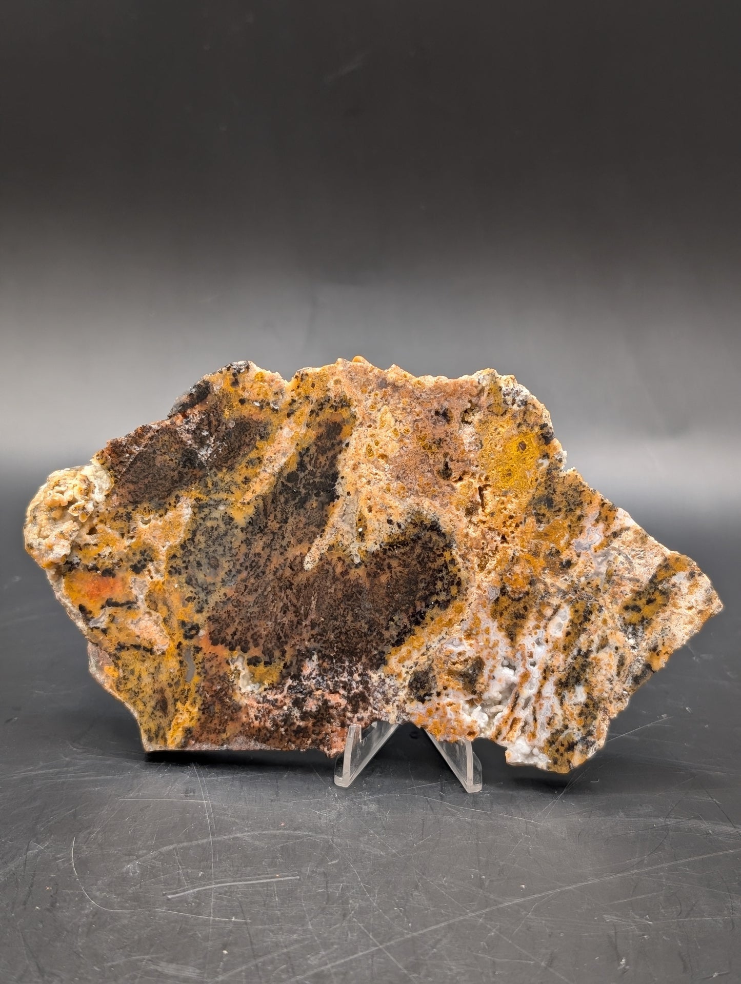 Cheetah Agate (Unpolished)