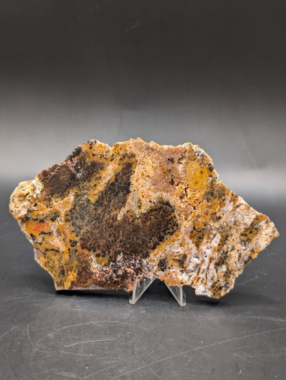 Cheetah Agate (Unpolished)