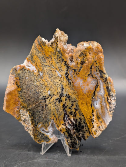 Cheetah Agate (Unpolished)