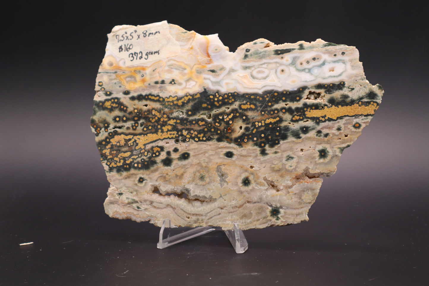 Ocean Jasper Slab (Unpolished)