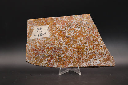 Moroccan Atlas Mountain Jasper slab (Unpolished)