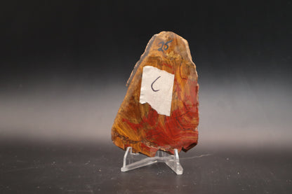 Arizona Moss Agate (Unpolished)