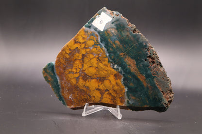 Orange Jasper with Stromatolites slab (Unpolished)