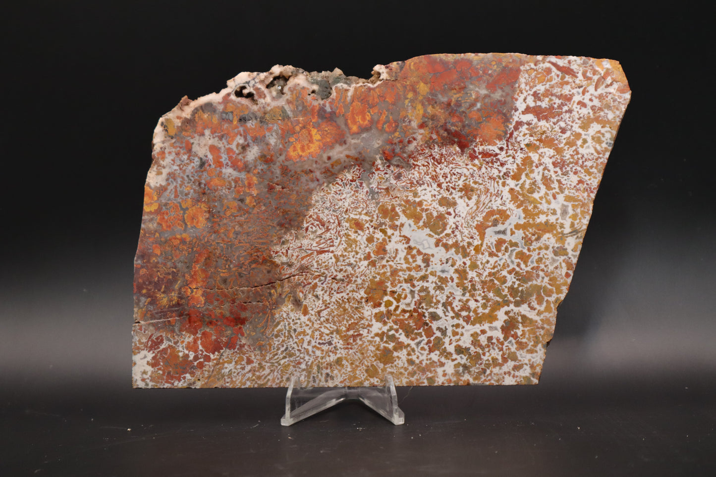 Moroccan Atlas Mountain Jasper slab (Unpolished)