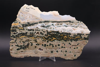 Ocean Jasper Slab (Unpolished)