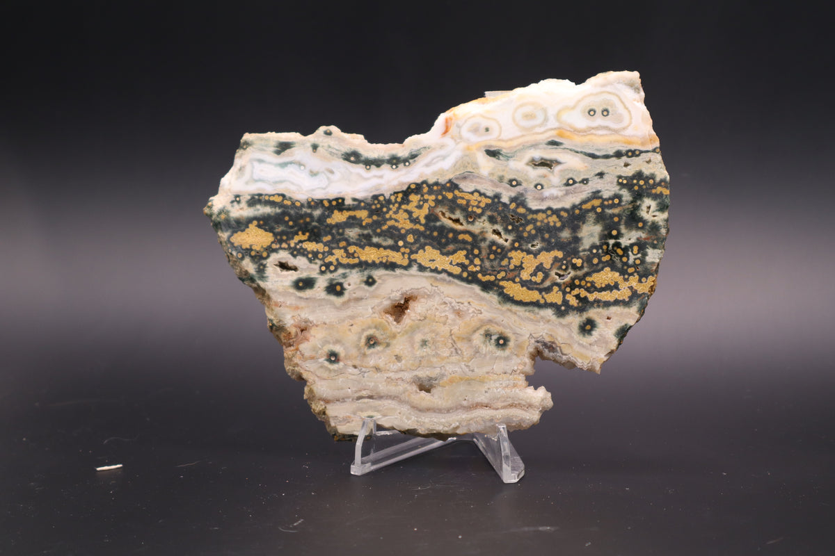 Ocean Jasper Slab (Unpolished)