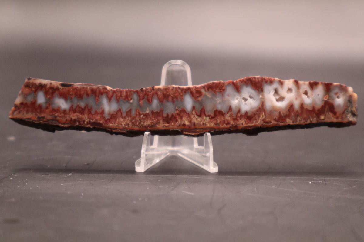 Idaho Wildfire Seam Agate (Polished)