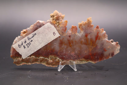 Bird of Paradise Agate