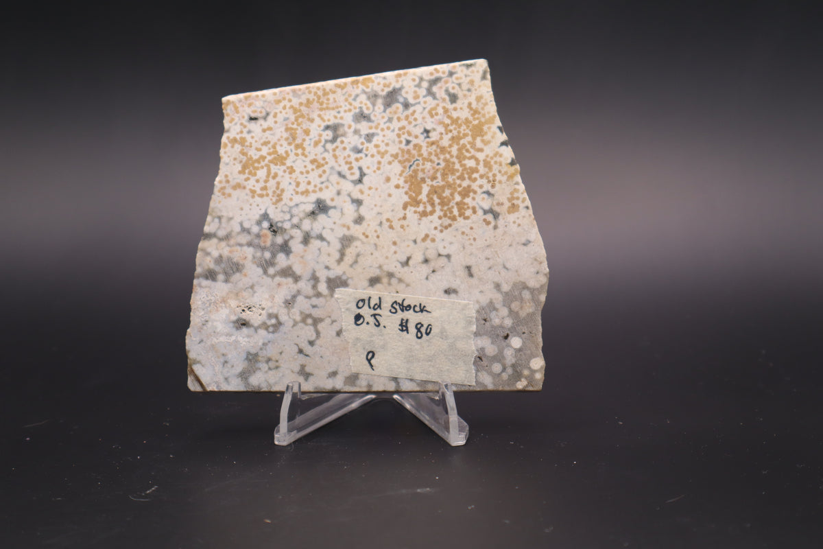 Ocean Jasper Slab (Unpolished)