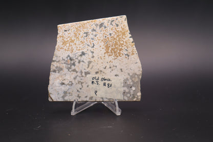 Ocean Jasper Slab (Unpolished)