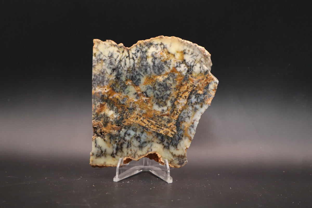 Australian Dendritic Opal slab (Unpolished)
