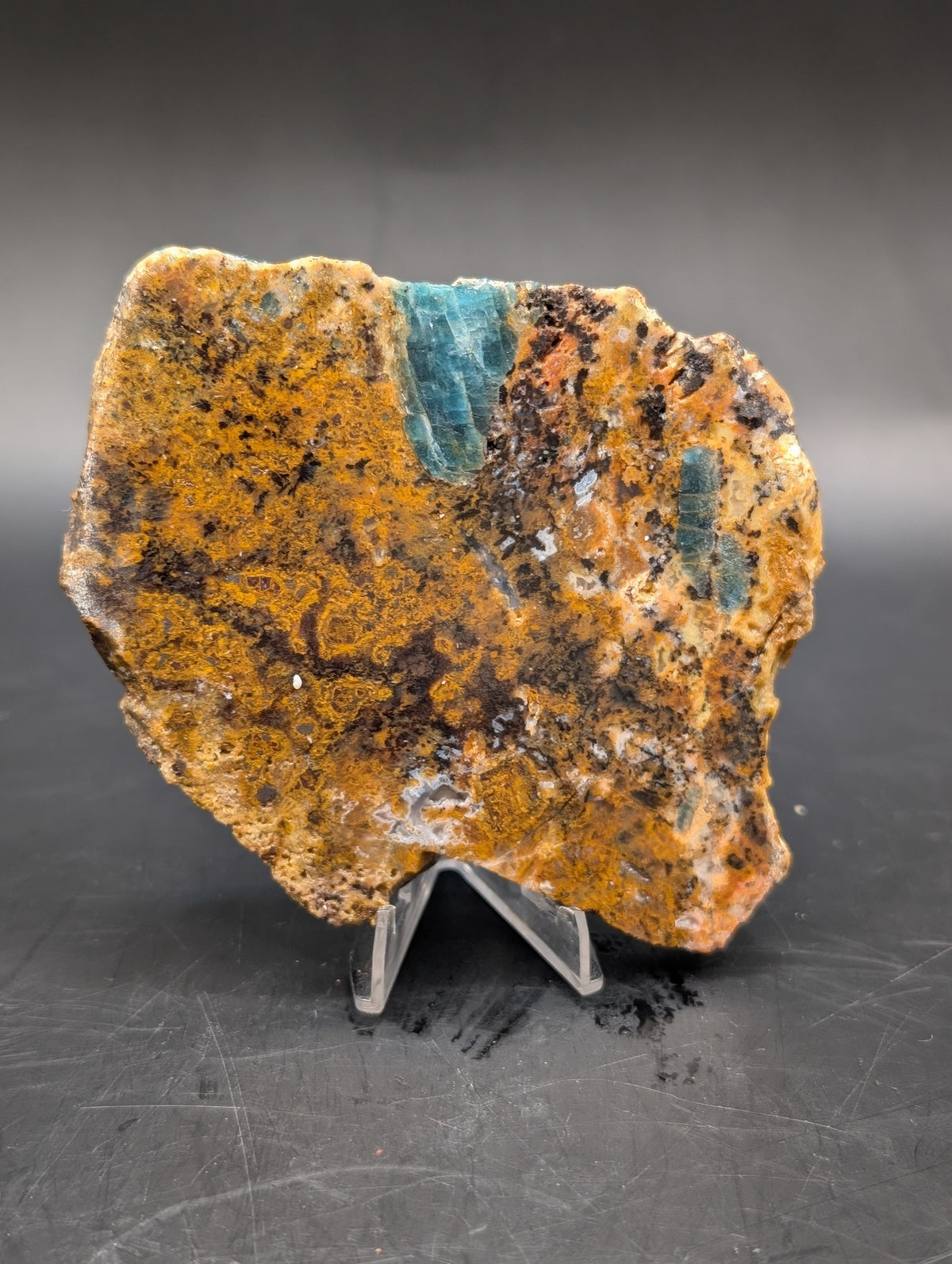 Cheetah Agate (Unpolished)