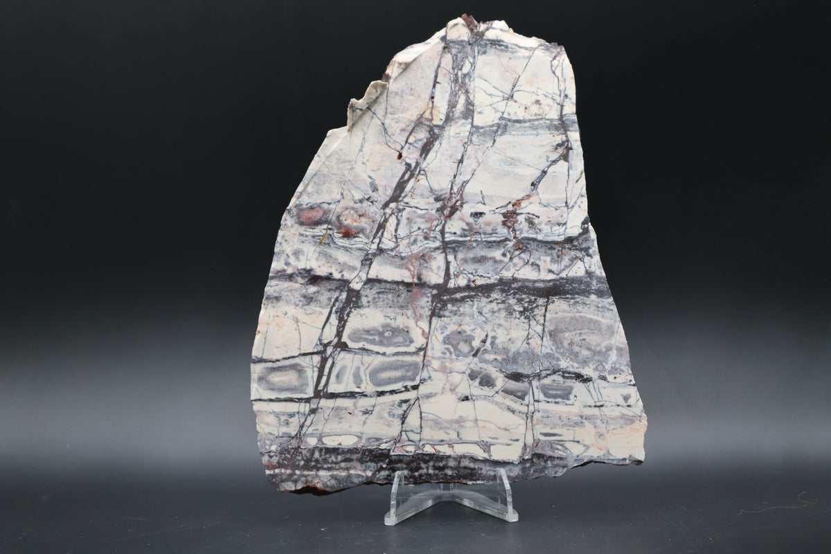 Exotica Sci-Fi Jasper slab (Unpolished)
