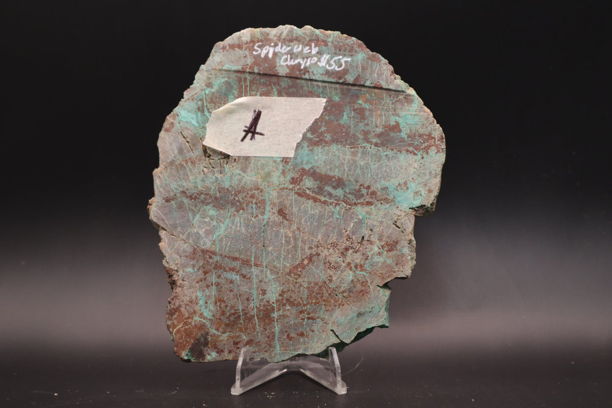 Spiderweb Chrysocolla (Unpolished)