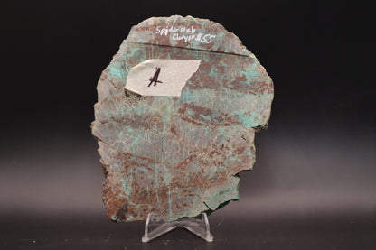 Spiderweb Chrysocolla (Unpolished)